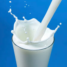 شیر آموزش اسم غذاها به انگلیسی 