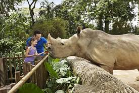 zoo-kid-visit