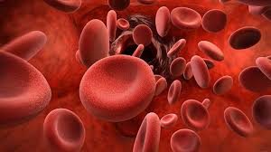 blood-Globule-cell